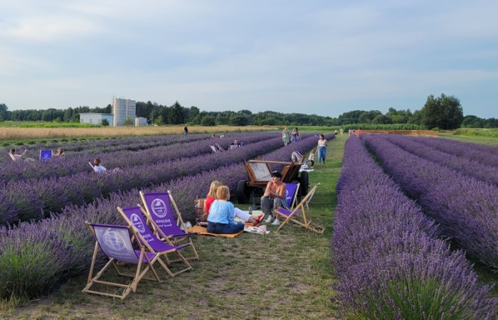 Strefa relaksu Lawendowe Oczko