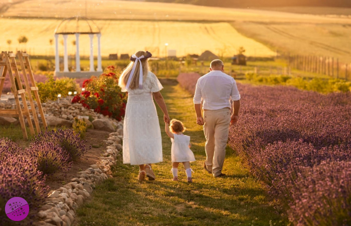 Lawendowy Ogród - Kotlina Kłodzka